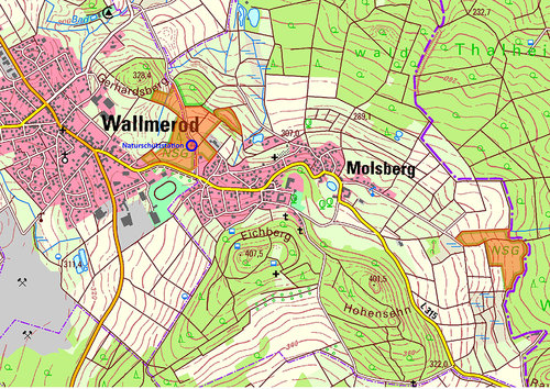 4.1_Natuschutzgebiet_NSG-Hartenberg-Steincheswiese-1_10000.jpg